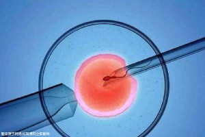 专业同志代怀服务收费标准生殖医学中心